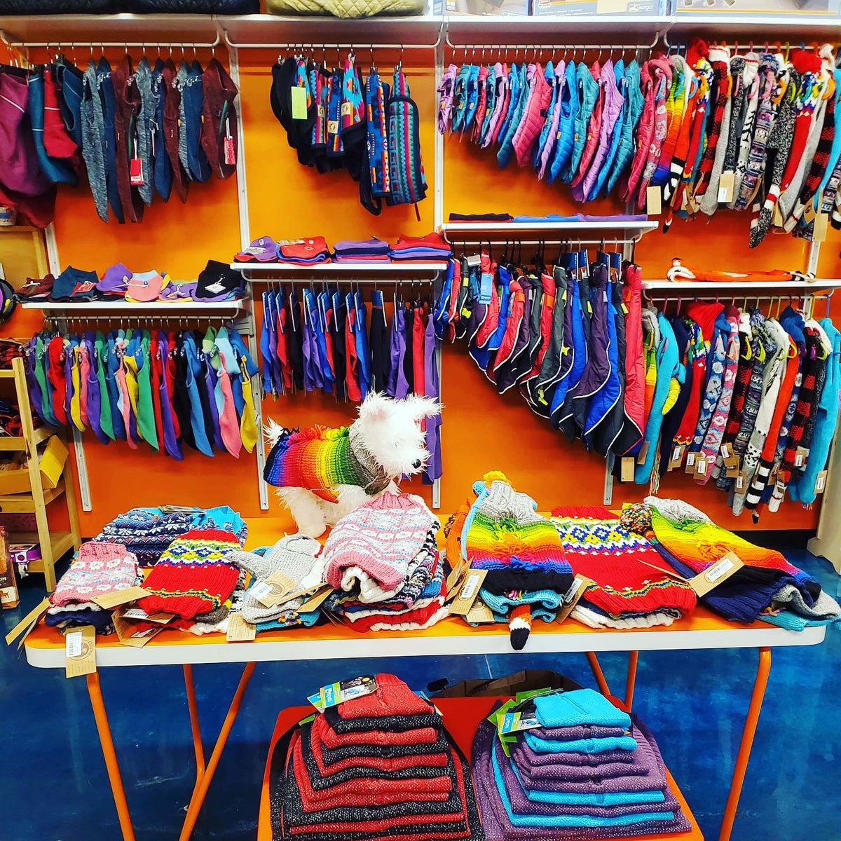 Winter Apparel Patton Avenue Pet Company