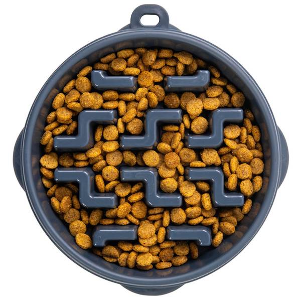OH Fun Feeder Notch Carbon Medium