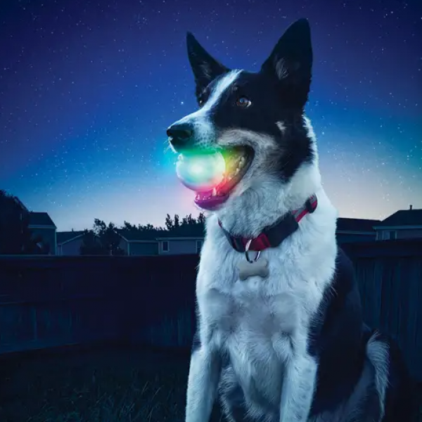 Nite Ize GlowStreak Disco LED Ball