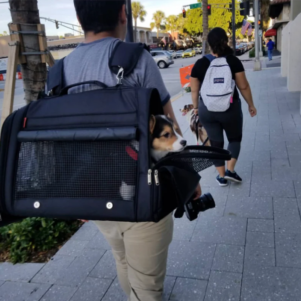 Hideaway Backpack XXL
