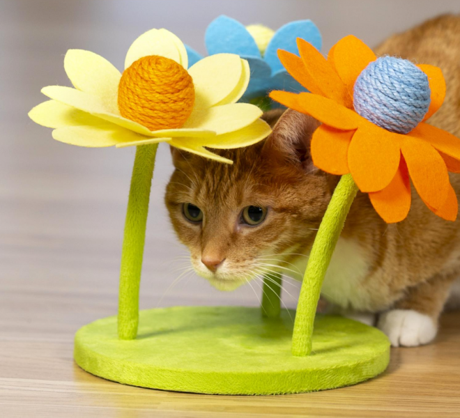 PPP Sway n' Play Small Garden Playground