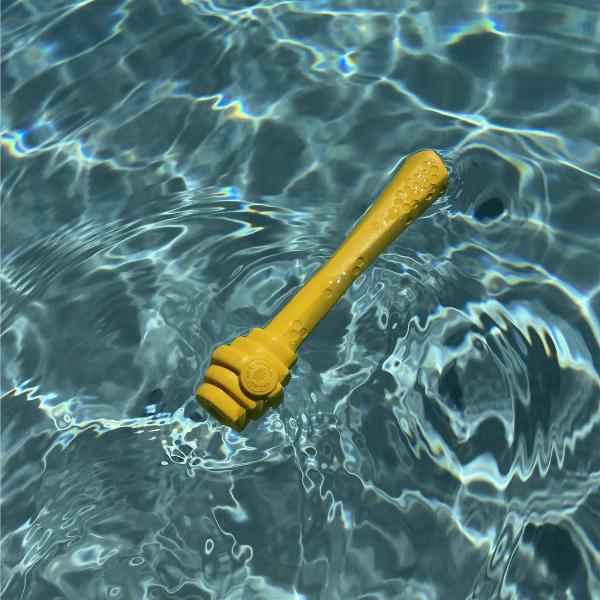 Project Hive Fetch Stick Original