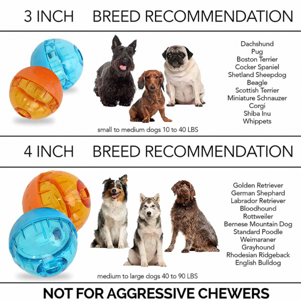 IQ Treat Ball Size Guide