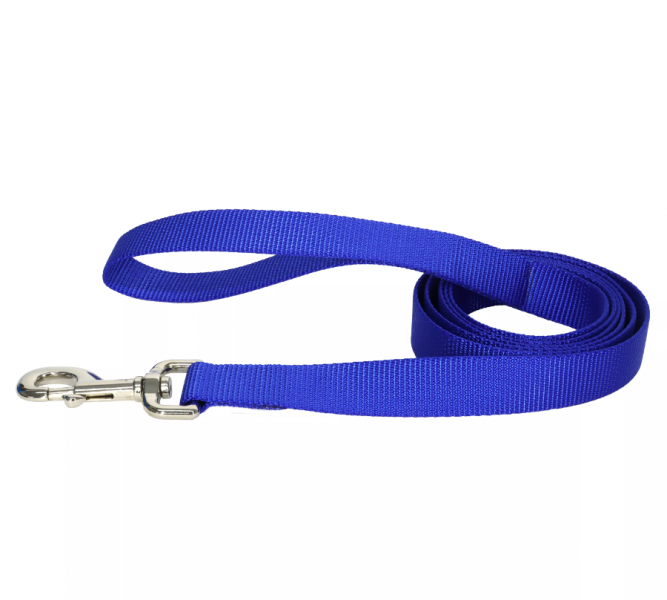 Coastal Leash 4' 3/8" Blue