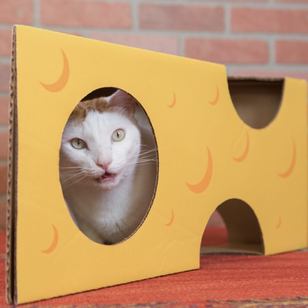 Cat in the Box Monster Cheese Wedge Cardboard Box Playhouse