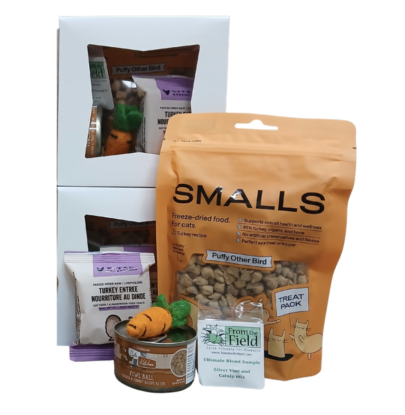 Thanksgiving Meal Cat