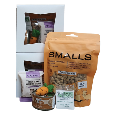 Thanksgiving Meal Cat