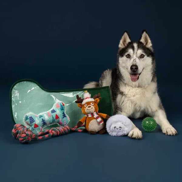 Fringe Toy Holiday Happy Pawlidays Dog Toy Stocking