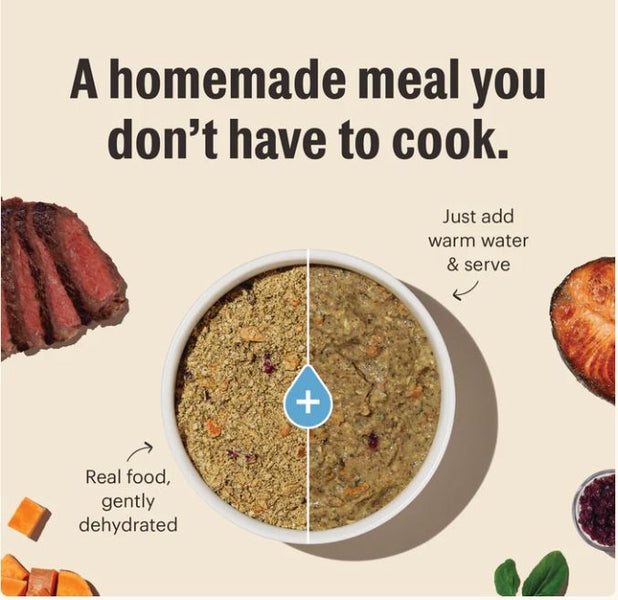 The Honest Kitchen Wholemade GF Beef 10 lb.