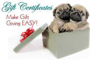 Gift Certificate