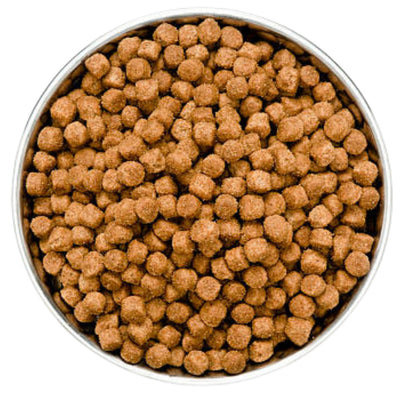 Dry Cat Food