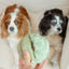 Lambwolf Toto Silent Snuffle Ball Small