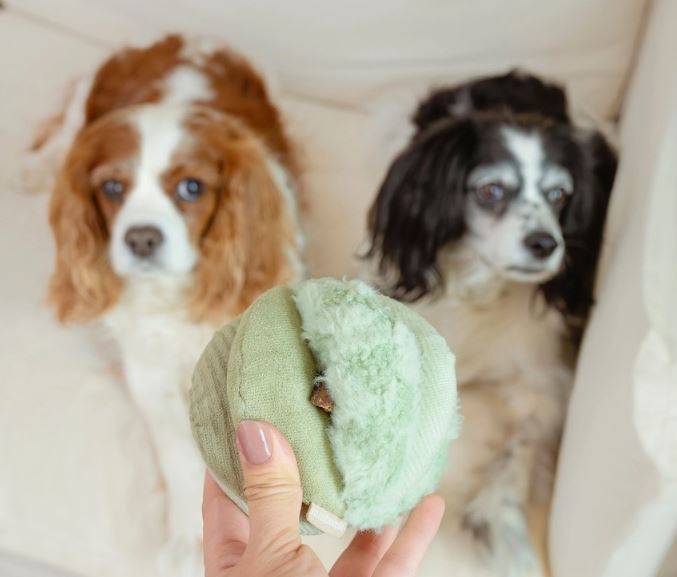 Lambwolf Toto Silent Snuffle Ball Small