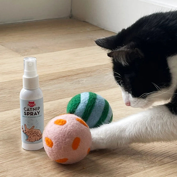 Kikkerland Cat Toy Spray & Play