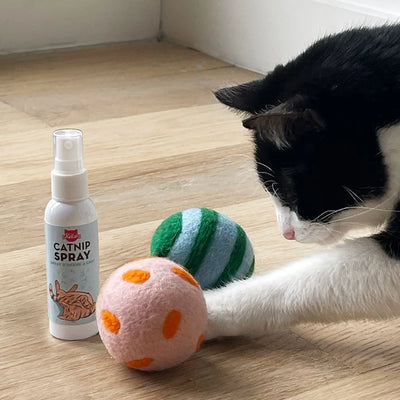 Kikkerland Cat Toy Spray & Play