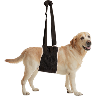 ZenPet Dog Health Buddy Lift Rehab Sling L/XL
