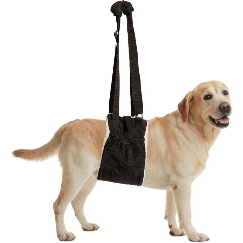 ZenPet Dog Health Buddy Lift Rehab Sling M/L