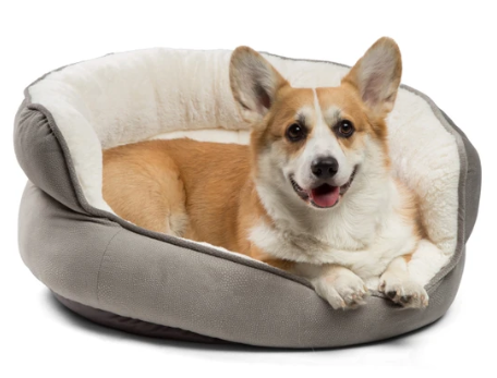 OH Ilan Throne Cat & Dog Bed