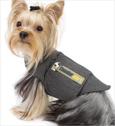 Thundershirt XS Grey