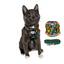 Travel Cat Vest Style Harness & Leash Set