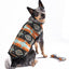 Chilly Dog Blanket Coats
