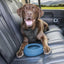 Kurgo Wander Water Bowl Splash Free Blue