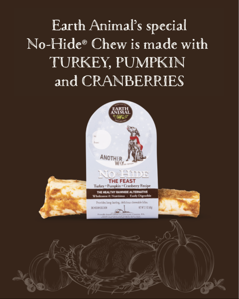 EA No Hide Holiday Feast Chew 4"