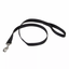 Coastal Leash 4' 3/8"