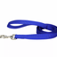 Coastal Leash 4' 3/8"