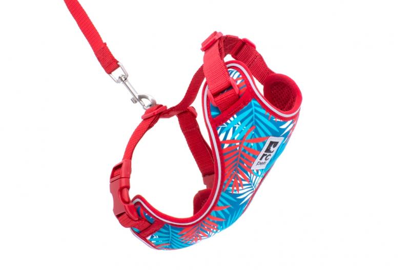 RC Adventure Kitty Harness Print