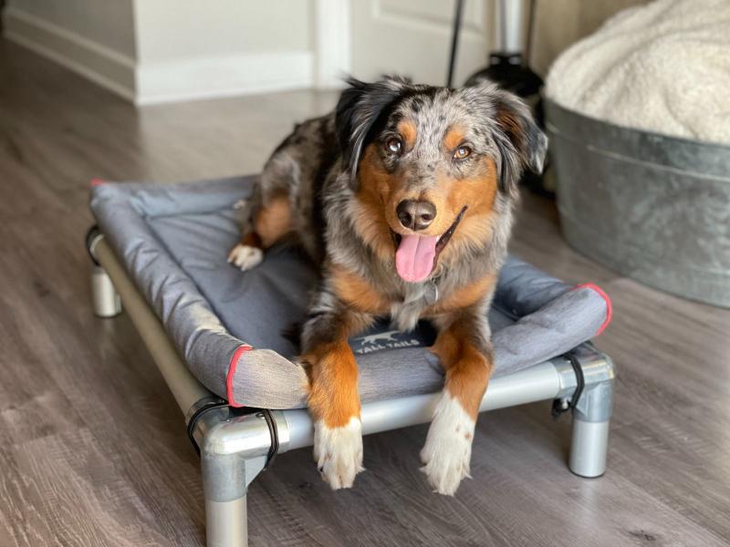 Tall Tails Crate Pad Deluxe with Bungee