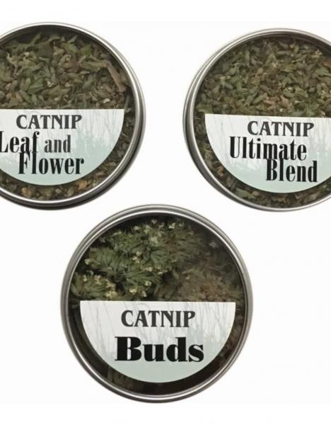 FTF Catnip Flight