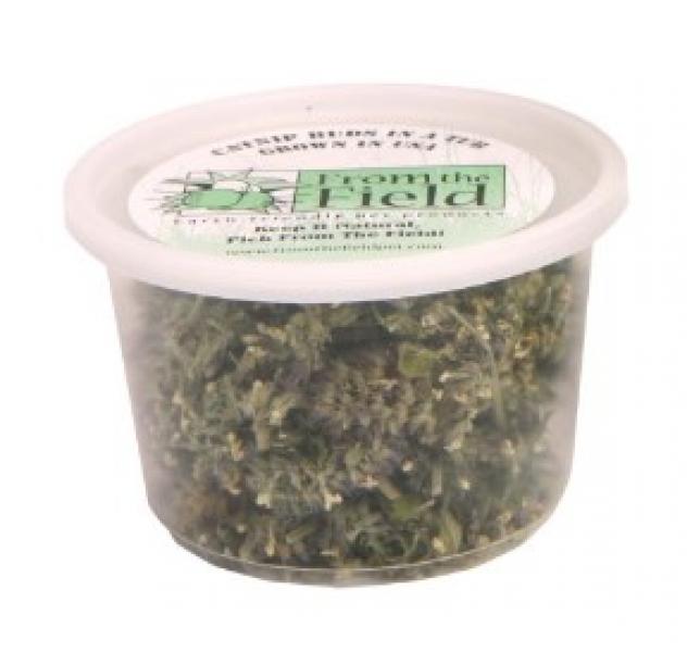 FTF Catnip Buds in a Tub .5 oz