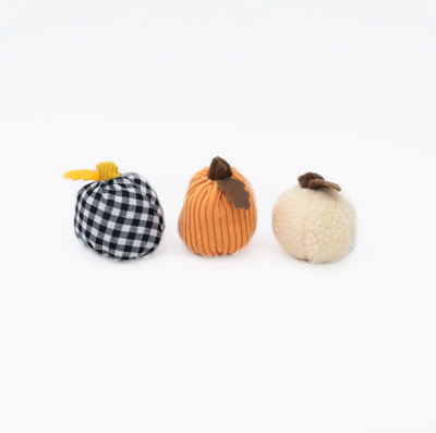 Zippy Fall Miniz 3-Pack Gourds