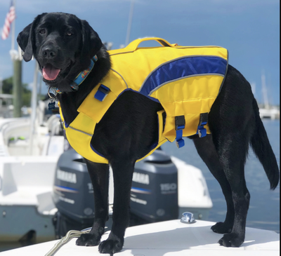 BayDog Classic Monterey Bay Life Jacket