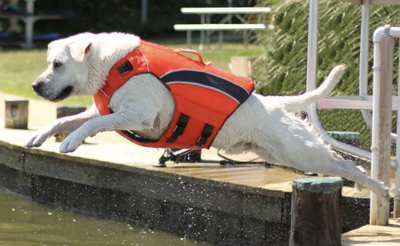 BayDog Classic Monterey Bay Life Jacket