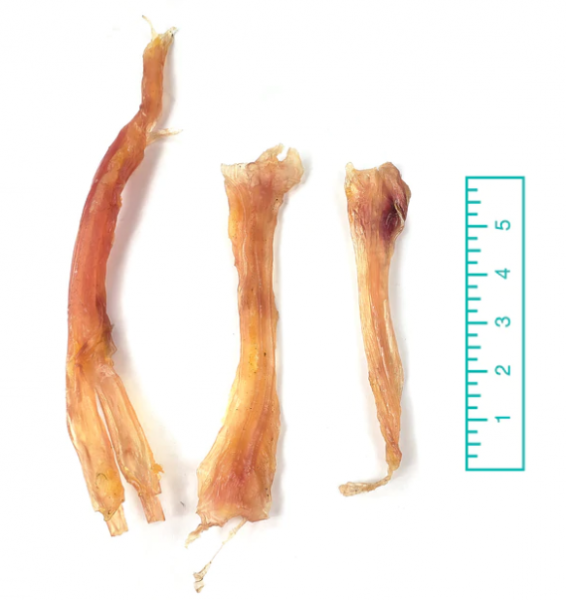 TND Assorted Beef Tendons 8 oz