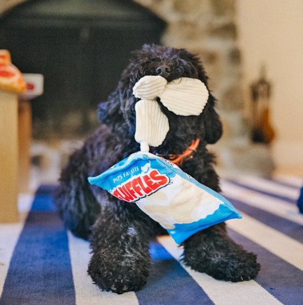 P.L.A.Y. Fluffles Chips