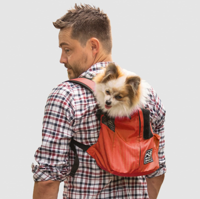 K9 Sport Sack Trainer