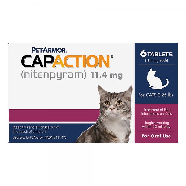 CapAction Cat 6 ct