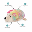 Fringe Toy Rainbow Hedgehog
