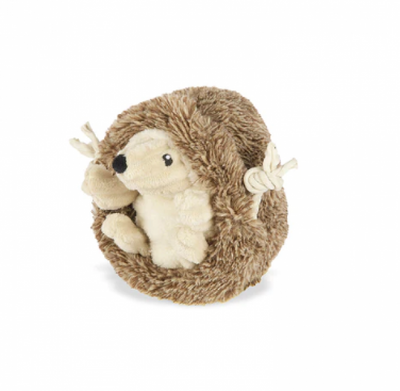 P.L.A.Y. Hedgehog