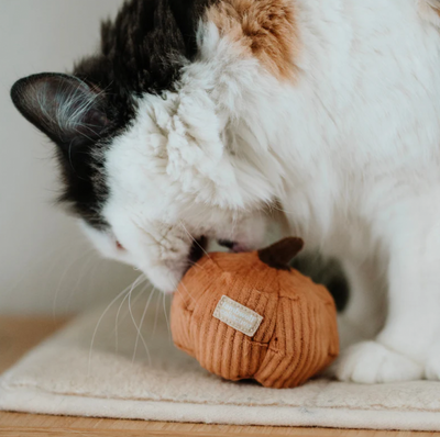 Lambwolf Cat Toy Pumpkin