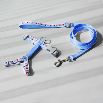 Cheerhunting Loofie Colorful Pet Harness & Leash Set