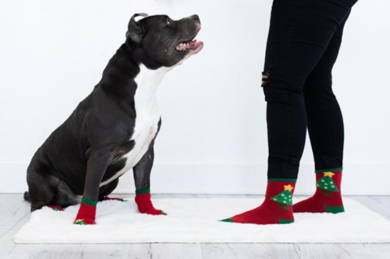 Pearhead Human and Dog Sock Set Holiday Tree