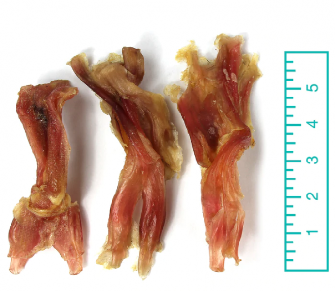 TND* Assorted Beef Tendons 8 oz
