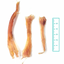 TND* Assorted Beef Tendons 8 oz