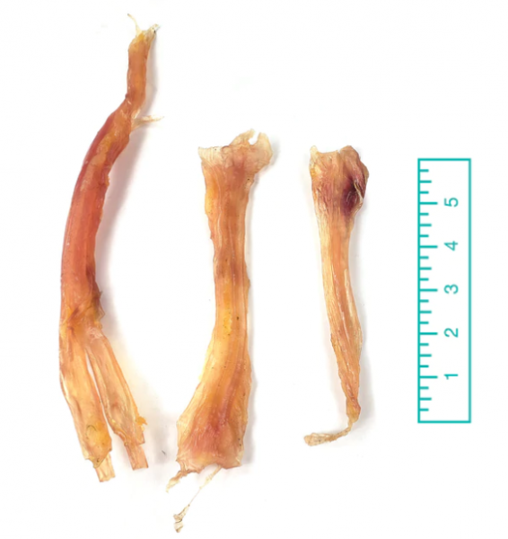 TND* Assorted Beef Tendons 8 oz