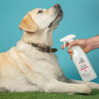 SH* Flea & Tick Dog & Home Spray 28 oz