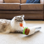 P.L.A.Y. Feline Frenzy Cat Kicker Toy Shrimp Purrito
